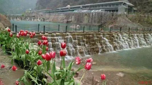全国首个！一图了解浙江省海洋经济发展厅