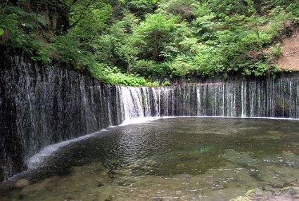 逃离蜥蜴森林