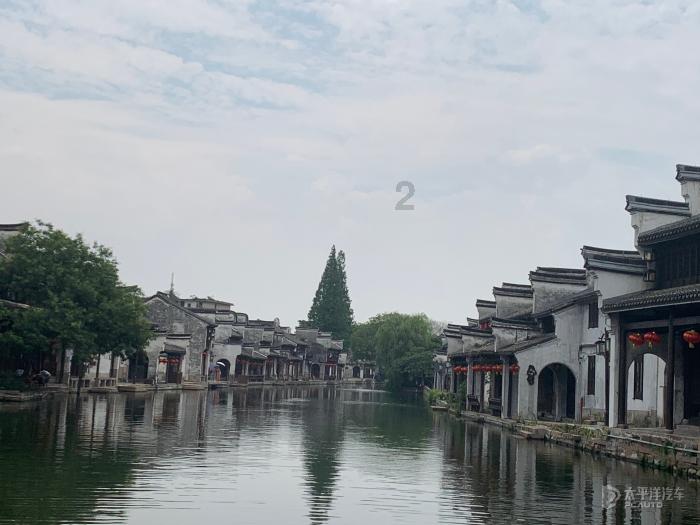 爱吃叶子的毛毛虫